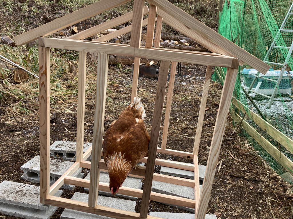 新たな鶏小屋の骨組み（新・鶏小屋作り1）