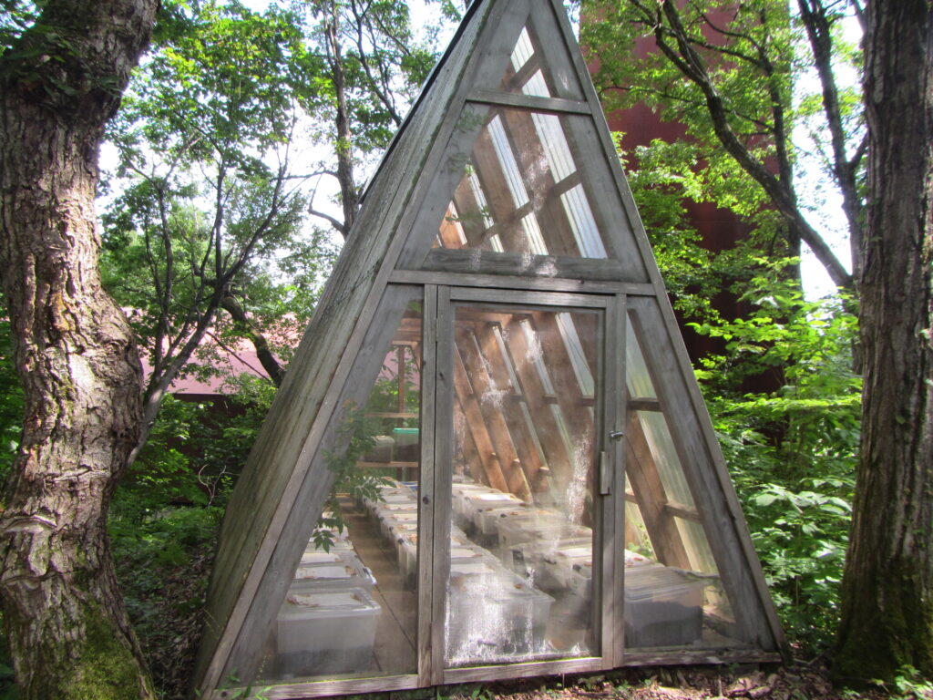 Aフレームキャビン（三角小屋）への憧れ